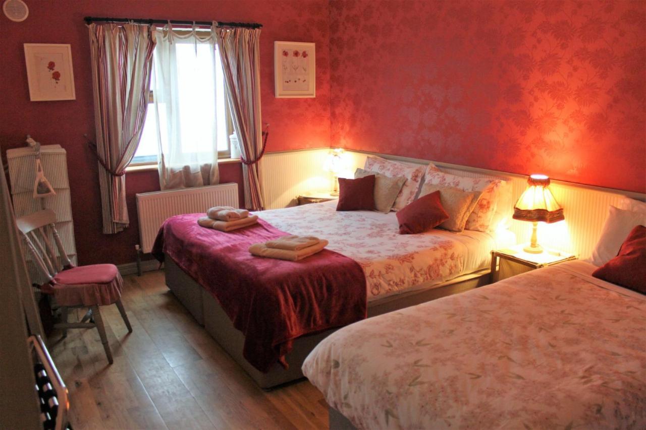 Clifden Bay Lodge Dış mekan fotoğraf