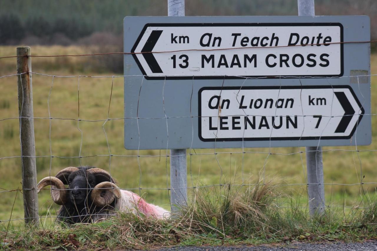 Clifden Bay Lodge Dış mekan fotoğraf