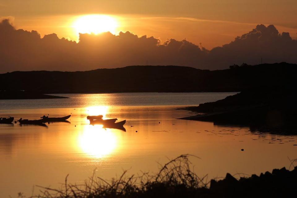 Clifden Bay Lodge Dış mekan fotoğraf