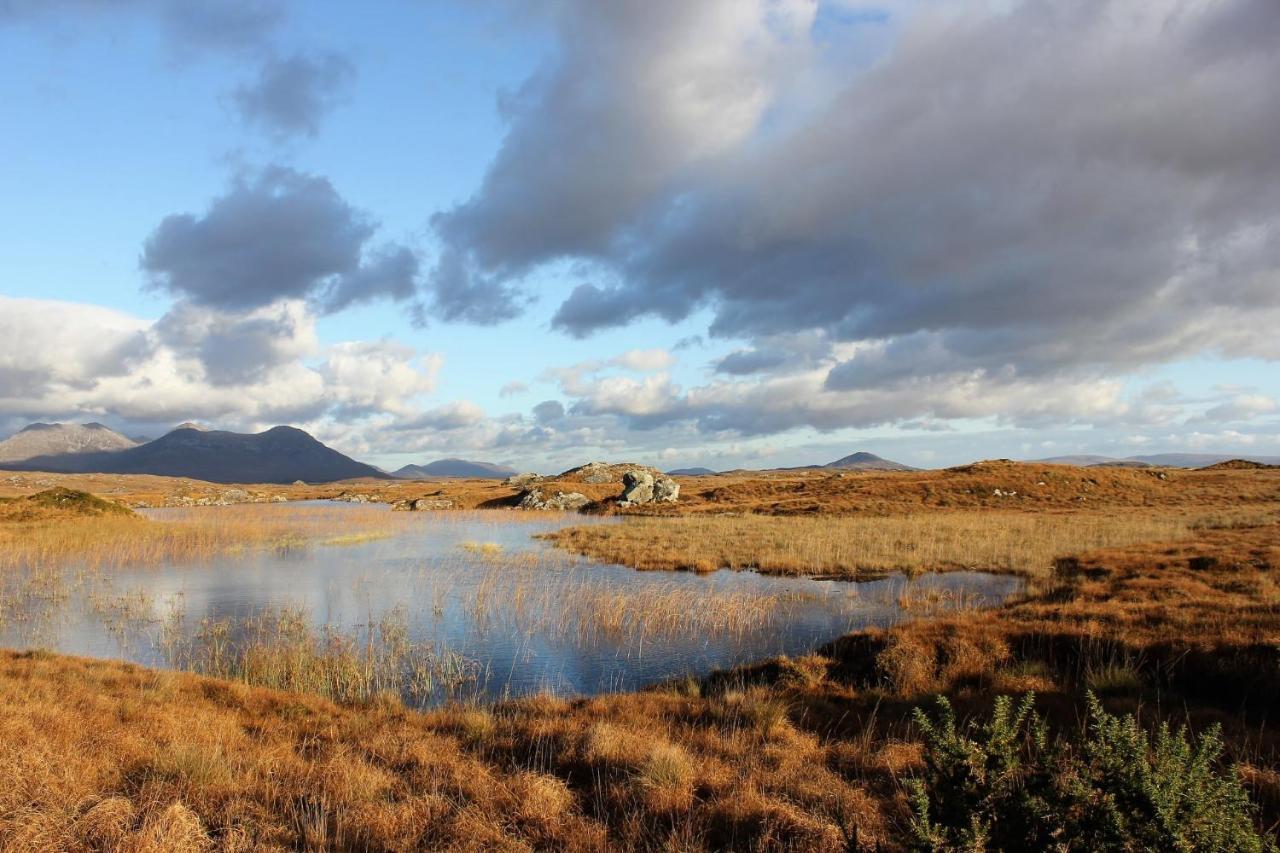 Clifden Bay Lodge Dış mekan fotoğraf