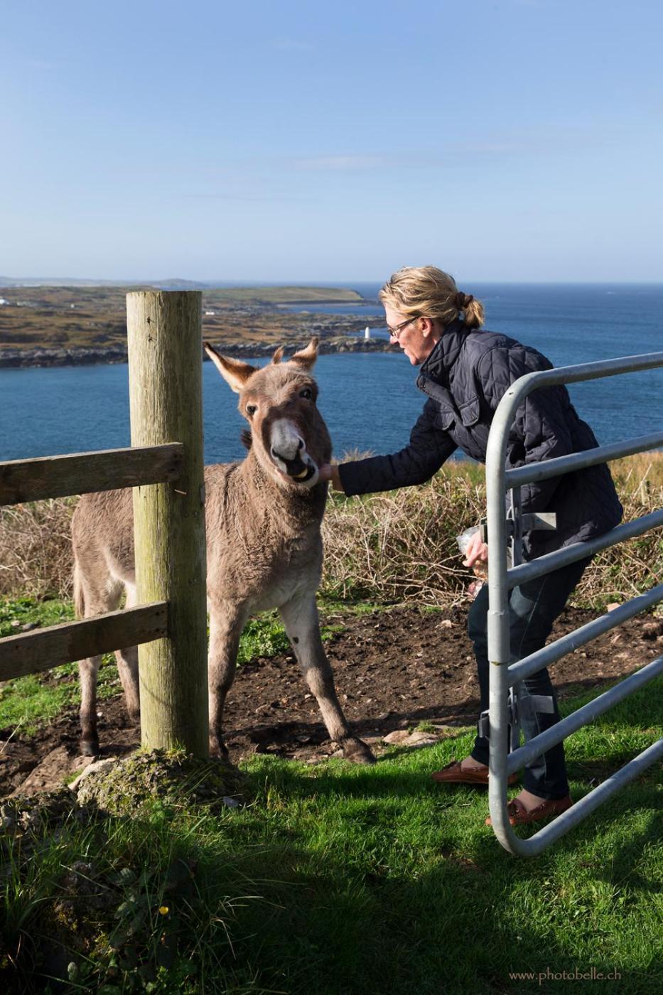 Clifden Bay Lodge Dış mekan fotoğraf